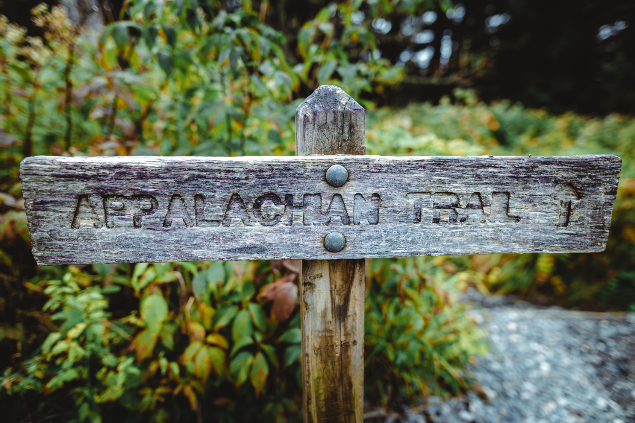 This vivid photograph captures the rustic charm of a weathered wooden sign for the Appalachian Trail within the Smoky Mountain National Park, Tennessee. The sign, etched with the trail's name, stands as a silent guidepost amidst a blur of green foliage that characterizes the trail's surroundings. The close-up shot emphasizes the texture of the wood and the craftsmanship of the trail markers that dot this historic long-distance route, beckoning hikers on their journey through the wilderness.